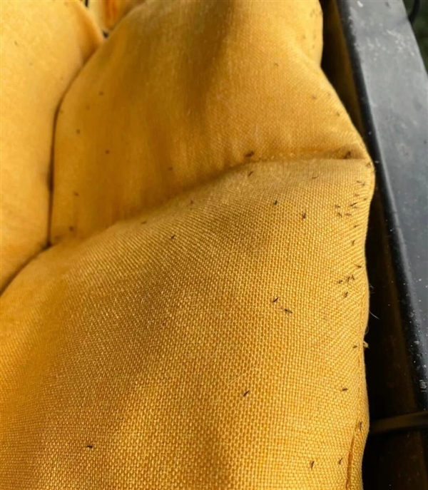 捕魚機：最近 真的不要穿這種顔色的衣服出門啊啊啊